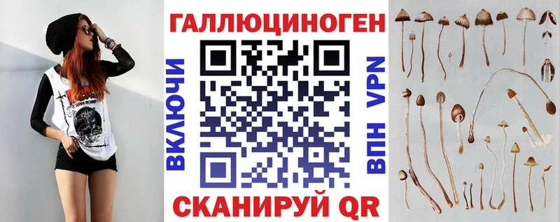 купить  цена  Хвалынск  Галлюциногенные грибы MAGIC MUSHROOMS 